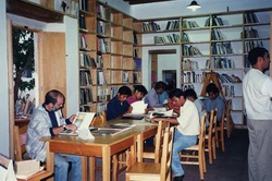 students busy with their assignments